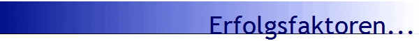 Erfolgsfaktoren...